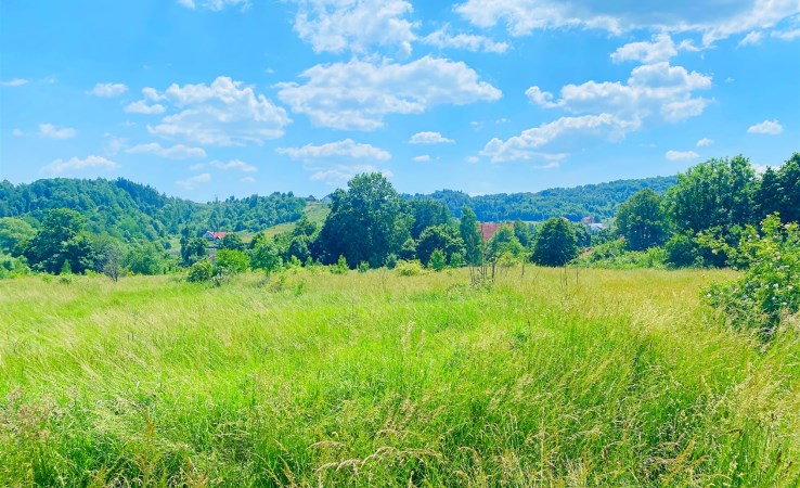 działka na sprzedaż - Stare Bogaczowice, Struga