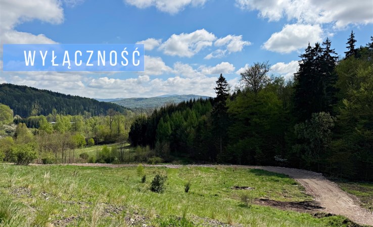 działka na sprzedaż - Jedlina-Zdrój, Glinica