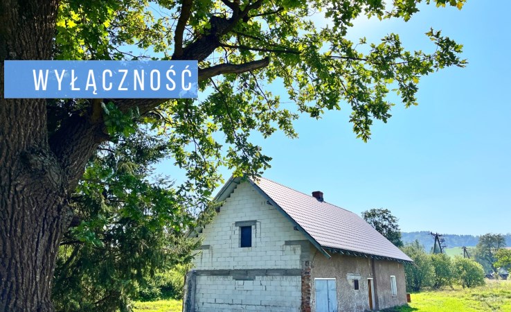 dom na sprzedaż - Czarny Bór, Polna