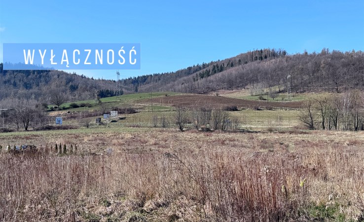 działka na sprzedaż - Wałbrzych, Rusinowa, Wspólna